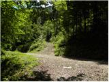 Polje - Planina Osredki